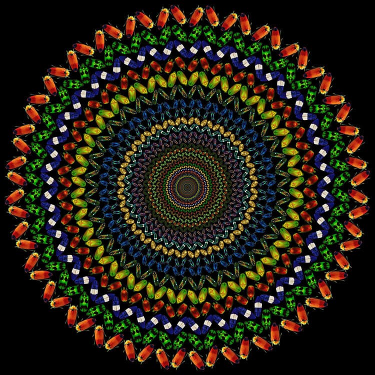 Slider Image